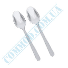 Glassy spoons | transparent | 160mm | 100 pieces per pack