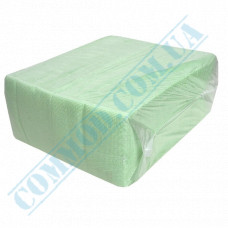 Paper napkins | 24*24cm | single ply | light green | 500 pieces per pack
