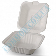 Lunch boxes 152*153*77mm | from sugar cane | white | for burgers | 125 pieces per pack