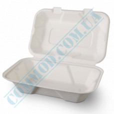 Lunch boxes 230*159*77mm | from sugar cane | white | 50 pieces per pack